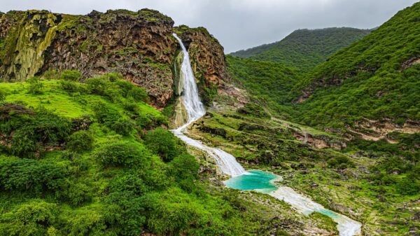 IMG_3003 برنامج صلالة | 5 أيام
