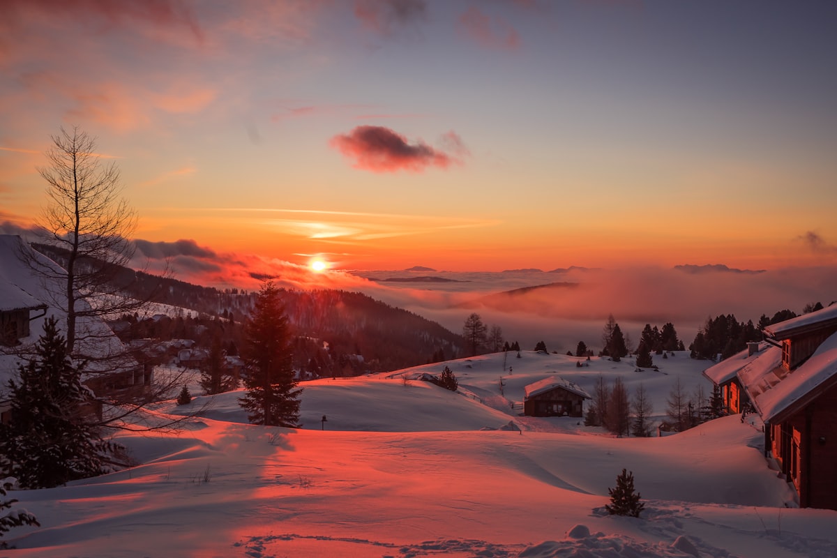 ألمانيا Tourism