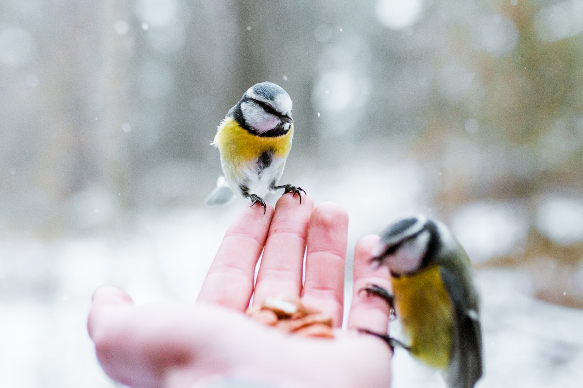 إسبانيا Tourism