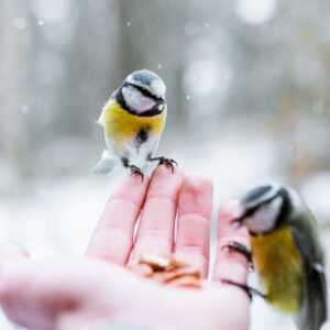 Barcelona Sagrada Familia - ساغرادا فاميليا