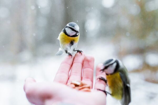 Barcelona Sagrada Familia - ساغرادا فاميليا
