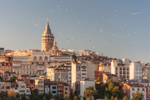 turkey-cat-1 تركيا Tourism
